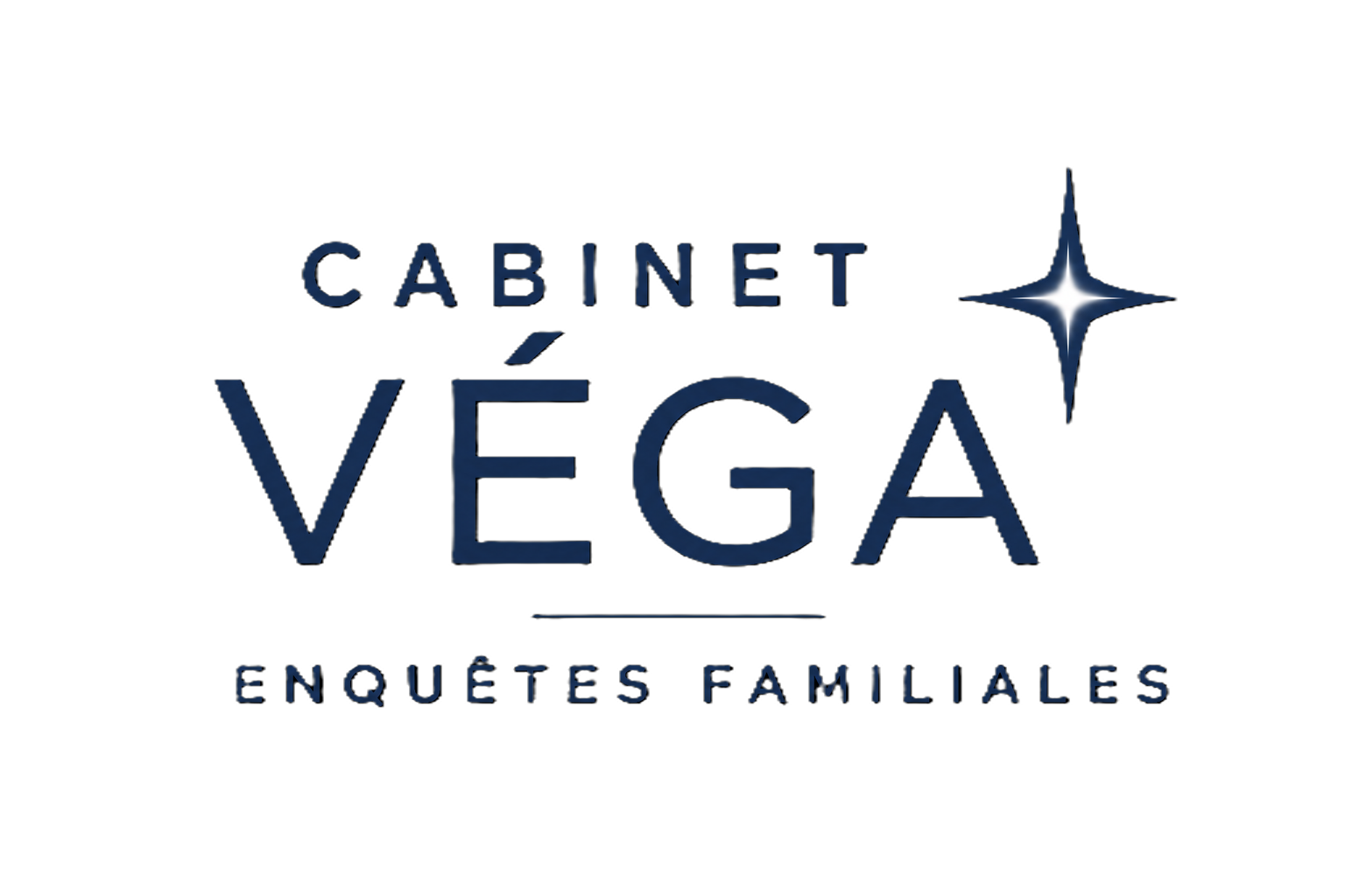 Cabinet Véga - enquêtes familiales